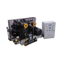 Compressor alternativo de alta pressão da estação das energias hidráulicas do pistão do ar (K2-70WHS-1570)